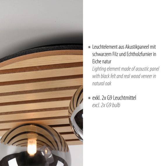 Plafon Paul Neuhaus Green Stika 003902-031939