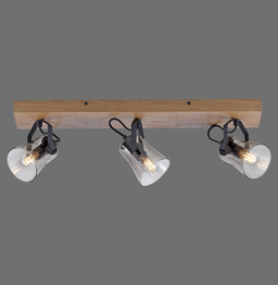 Plafon Paul Neuhaus Green Langström 003902-031764