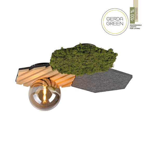 Plafon Paul Neuhaus Green Hex 003902-031936