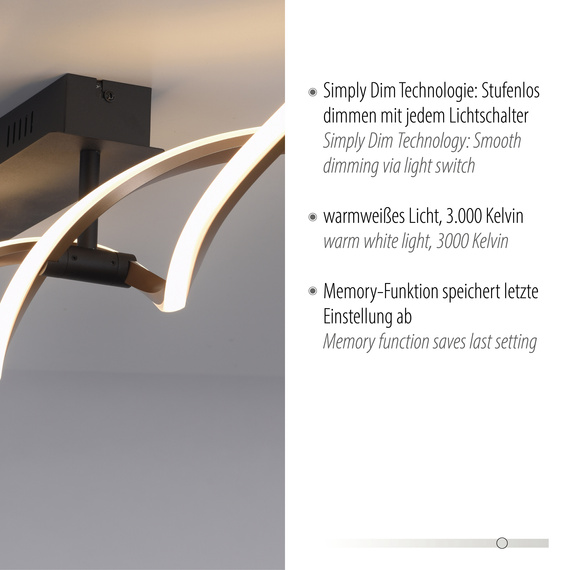 Plafon Paul Neuhaus Polina 003902-032290