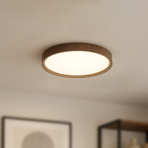 Milagro Plafoniery ML2054 Plafon