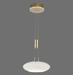 Żyrandol Paul Neuhaus Q-etienne 003902-032131