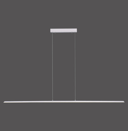 Lampa Wisząca Paul Neuhaus Pure-lite 003902-031043