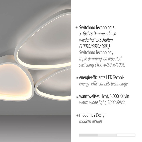 Plafon Paul Neuhaus Pebbles 003902-031059