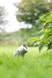 Spot Ogrodowy Markslojd Garden 107714