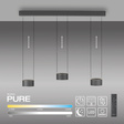 Lampa Wisząca Paul Neuhaus Pure Clipse 003902-035388