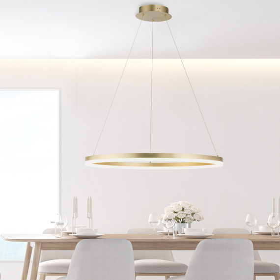 Zwis Paul Neuhaus Titus 003902-031285