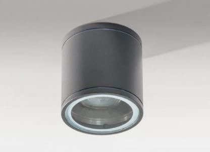 Azzardo Joe Tube AZ3313 Lampa sufitowa szara ciemna zewnętrzna