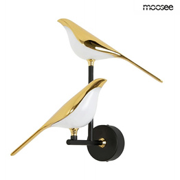 Kinkiet Moosee Bird MSE1501100458