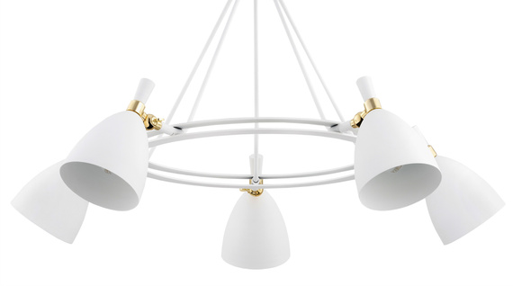 Zwis Argon Charlotte 2117