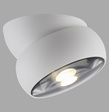 Lampa Sufitowa Paul Neuhaus Pure Move 003902-035390