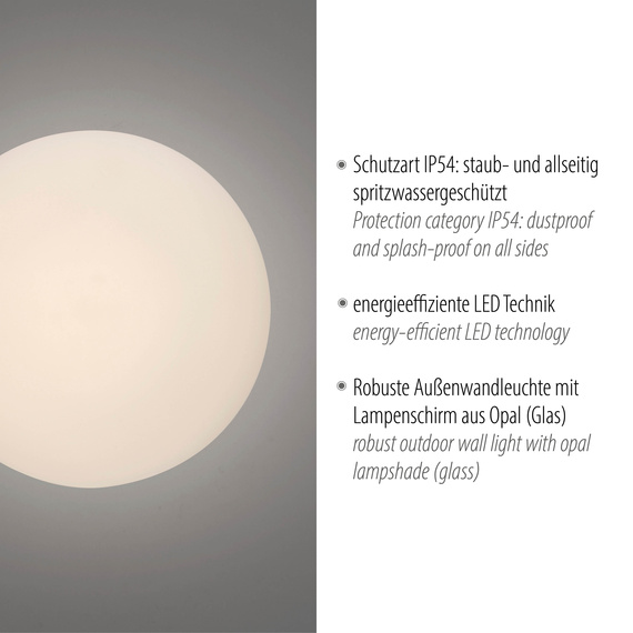 Lampa Sufitowa Paul Neuhaus Olaf 003902-032297