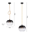 Paul Neuhaus LUMA Lampa Wisząca 2410-18