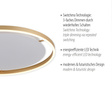 Lampa Sufitowa Zuma Line Ritus 003902-024440