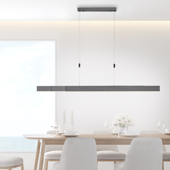 Lampa Wisząca Paul Neuhaus Pure-moto 003902-025680