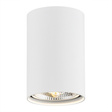 Lampa Sufitowa Argon Tubo 4910 BZ
