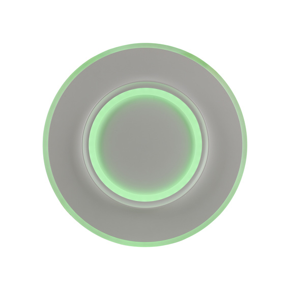 Paul Neuhaus Q-kalina 003902-032224 Plafon