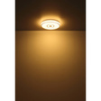 Plafoniera Globo Lighting 3000K Astania 41264