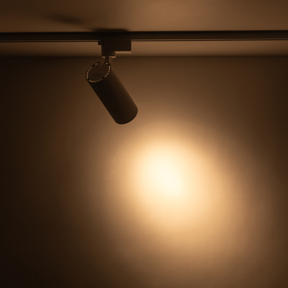 Lampa Do Szynoprzewodu TK Lighting Tracer 18180