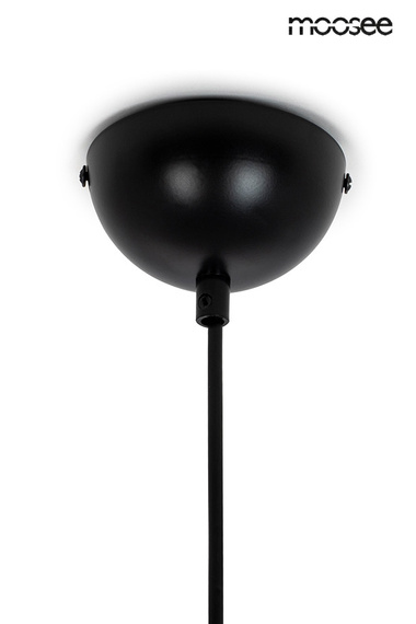 Zwis Moosee Sandra MSE010100309