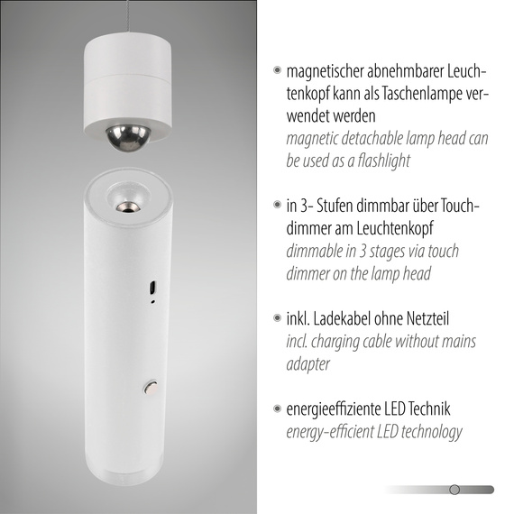 Zwis Paul Neuhaus Attach 003902-031505