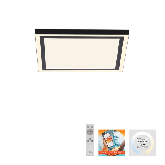 Plafon Paul Neuhaus Edging-smart 003902-031850