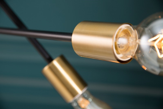 Zwis Moosee Variation 40773