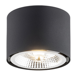 Plafon Argon Clevland 4691 BZ