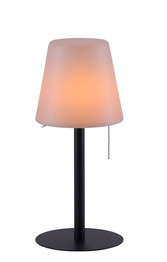 Paul Neuhaus Euria Lampa Nocna 19250-18 IP54