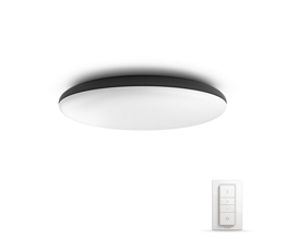 Plafon Philips HUE Cher 40967/30/P7 + pilot