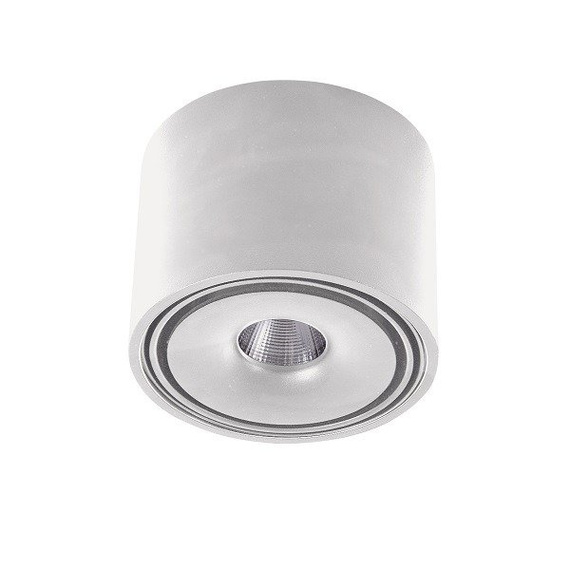 Azzardo Boston Reflektor sufitowy LED AZ3469 Biały