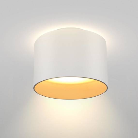 Lampa sufitowa Planet biały (C009CW-L16W) - Maytoni