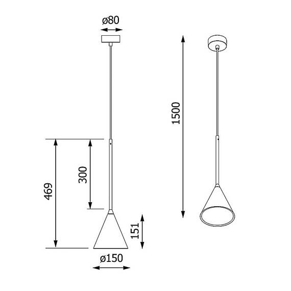 Nowoczesna lampa wisząca LA39/F2/116/3000K Cleoni Rim F 30