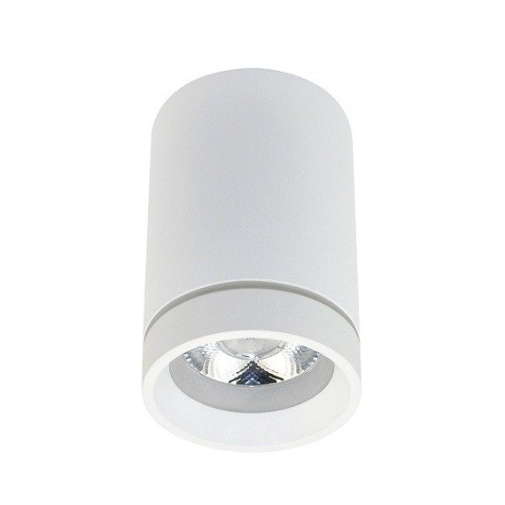 Reflektor sufitowy Azzardo Bill 10W Spot LED AZ3375 Biały