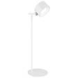 Lampa gabinetowa Globo Lighting Jorje 58436W