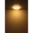 Plafoniera Globo Lighting 3000K Astania 41264